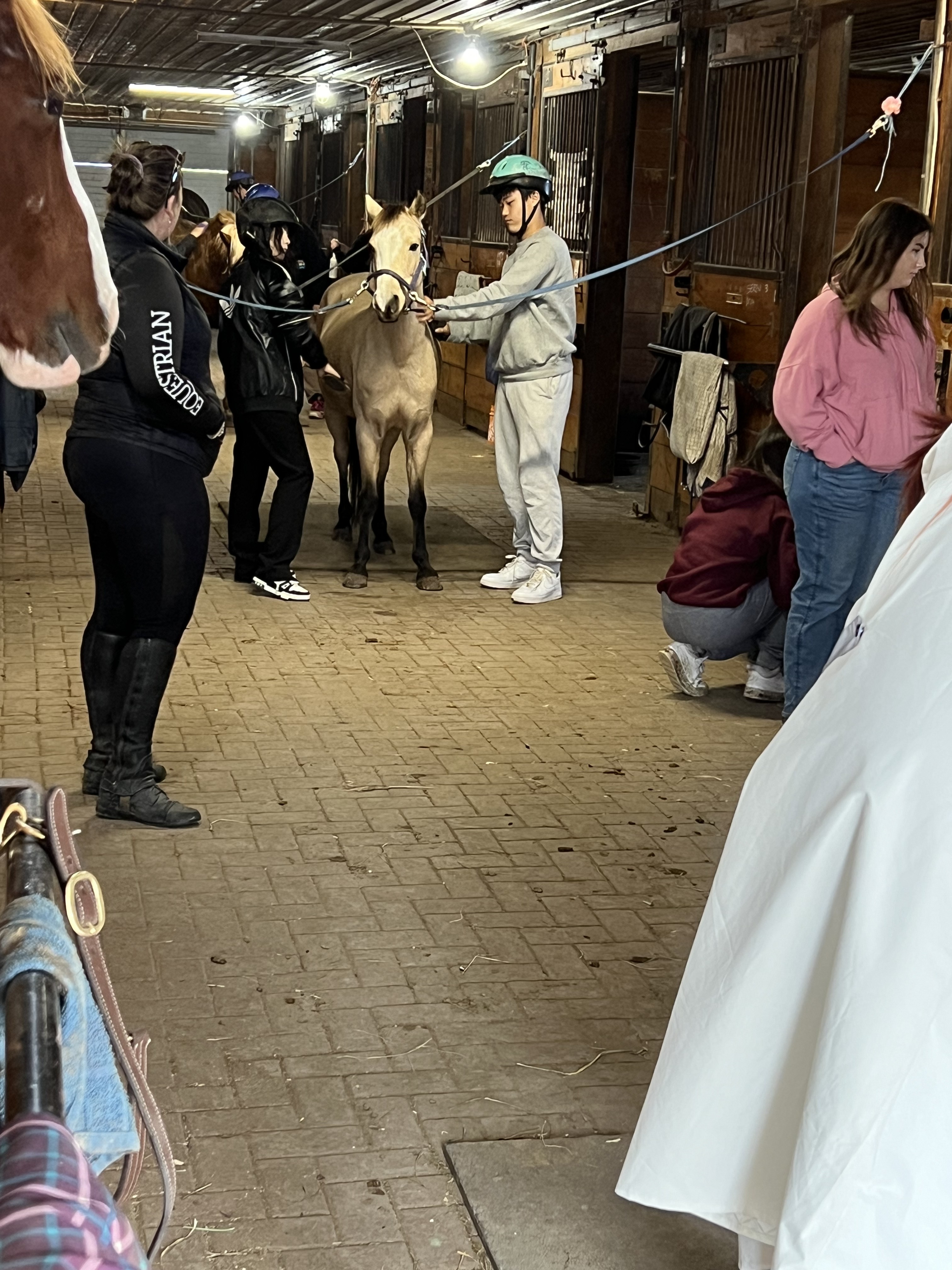 Horse Riding — photo 14